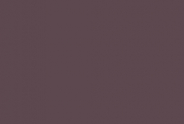 Баклажан фиолетовый