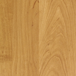 Ольха